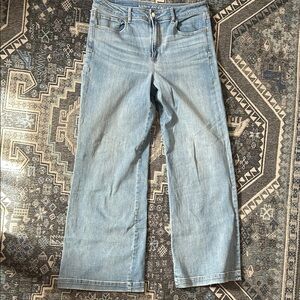 American Eagle Outfitters Light Blue Wide Leg Jeans